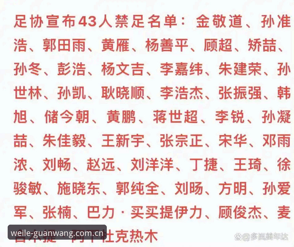 足协禁足名单深度对比分析：谁在破坏中国足球的公平竞赛环境？